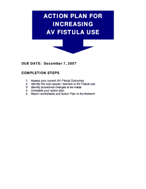 AV Fistula Use Action Plan