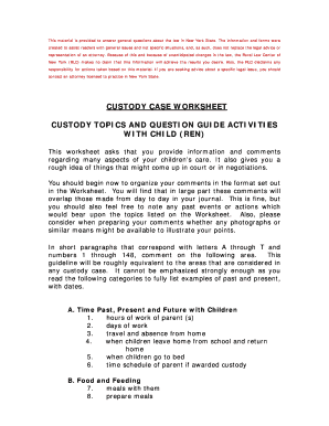New York Custody Case Worksheet