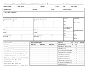 Fire Incident Report Form