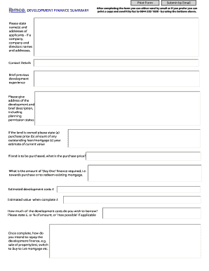 Development Finance Summary Form