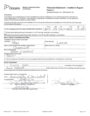 Ontario Municipal Election Financial Statement