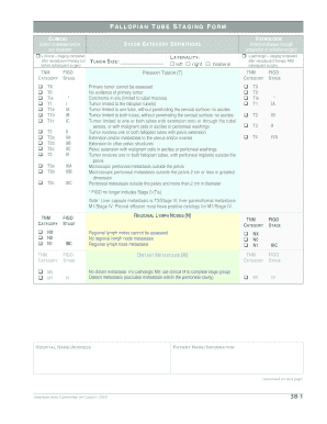 Fallopian Tube Staging Form