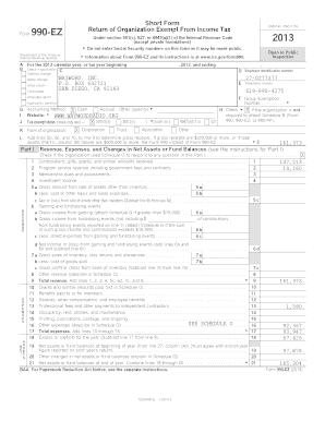 Form 990-EZ Tax Return