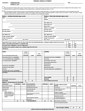 Personal Financial Statement for Credit Application