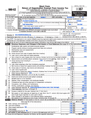Form 990-EZ 2007