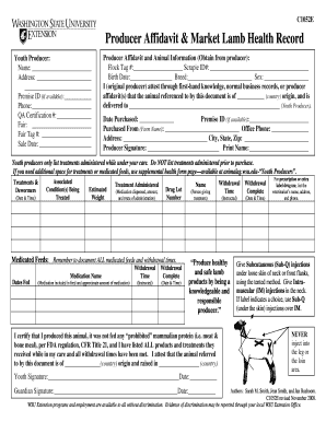 Producer Affidavit & Market Lamb Health Record