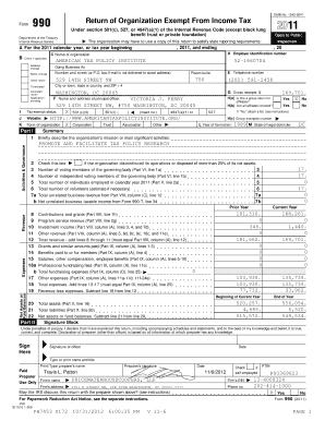 Form 990 Tax Exempt Organization Return