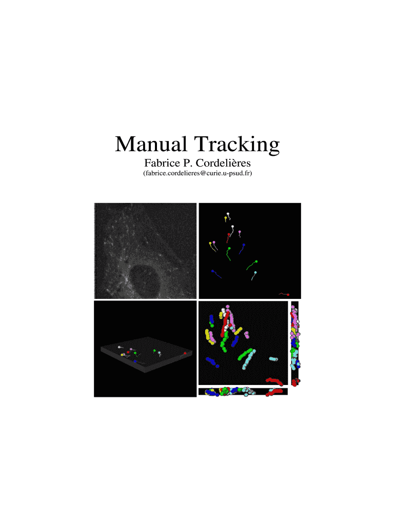 Fillable Online Manual Tracking Fax Email Print - pdfFiller