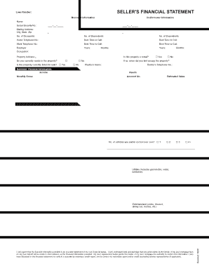 Seller's Financial Statement