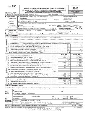 Form 990 2013