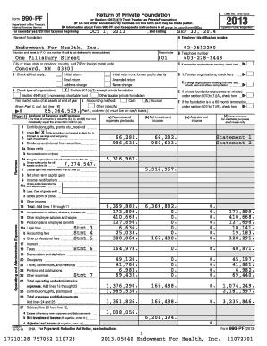 Form 990-PF 2013