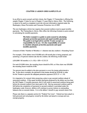 Chapter 13 Plan Template