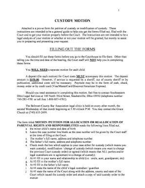 Custody Motion Form