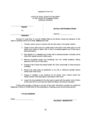 Ohio Mutual Restraining Order