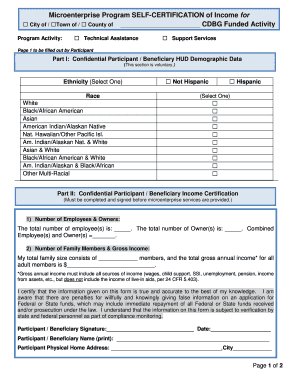 Microenterprise Income Self-Certification Form