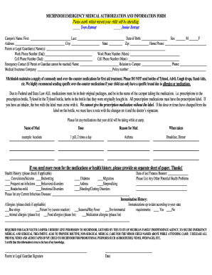 Michigan Emergency Medical Authorization Form