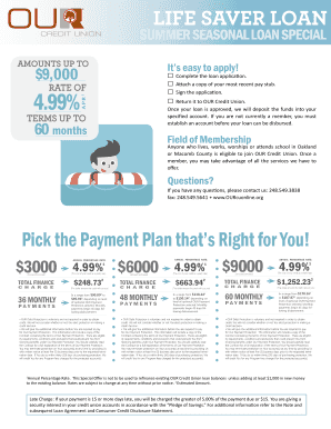 Summer Seasonal Loan Application