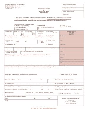 Louisiana Employer Report of Injury Illness