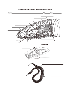 BlackwormEarthworm Anatomy Study Guide - svsdnet