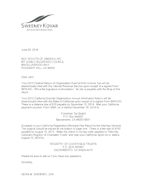 IRS Form 990 2013