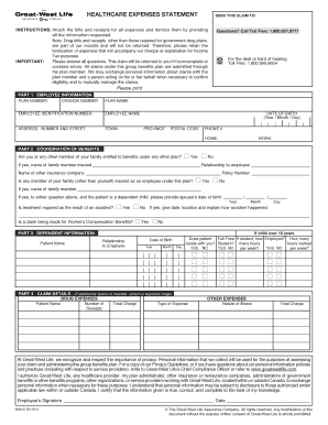 Healthcare Expense Statement