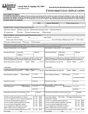 Consumer Loan Application