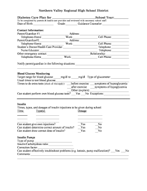 Diabetes Care Plan for School