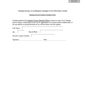 Georgia Driver's History Consent Form