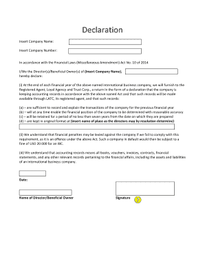 Company Financial Records Declaration