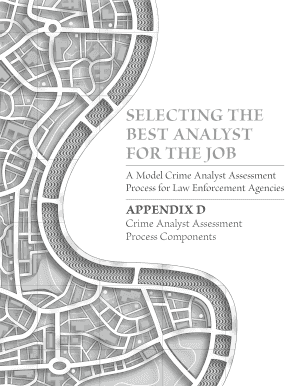 Crime Analyst Assessment Form