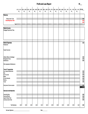 Profit and Loss Report Template
