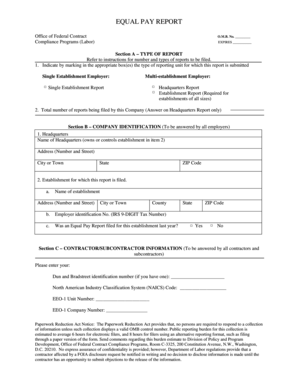 Equal Pay Report