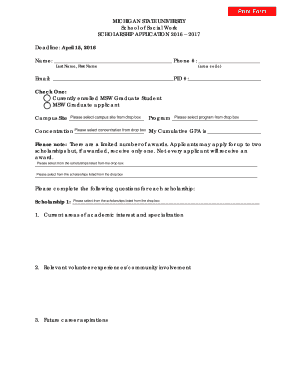 Form preview