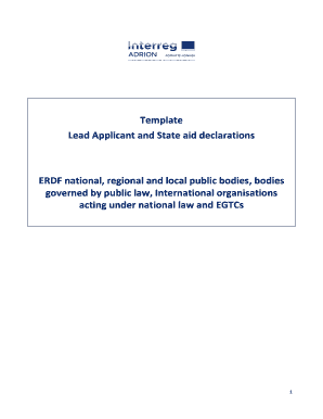 Template Lead Applicant and State aid declarations - adrioninterreg