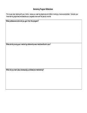 Mentoring Program Reflections