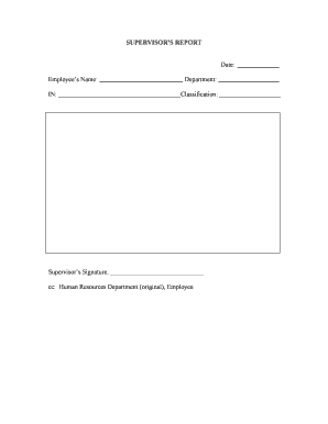 Supervisor’s Report Form