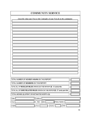 Community Service Report Form