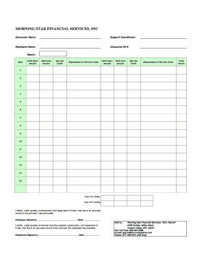 Morning Star Financial Services Timesheet