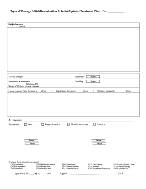 Physical Therapy Initial Evaluation Form