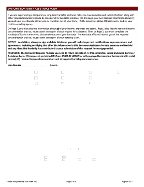 Uniform Borrower Assistance Form