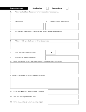 Scaffolding and Excavations Inspection Report