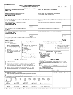 US Bankruptcy Voluntary Petition