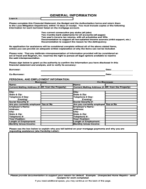 Financial Statement for Loan Assistance