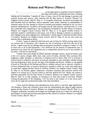 Minor Release and Waiver Form