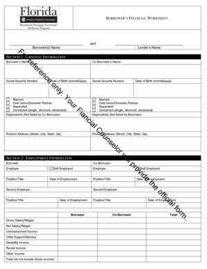 Borrower's Financial Worksheet