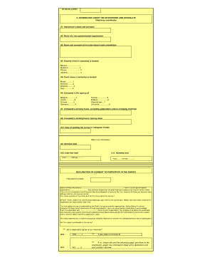 EU Visa Application Survey Form