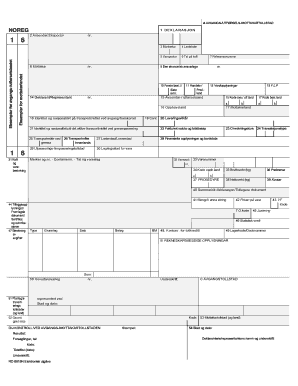 Norwegian Customs Declaration Form