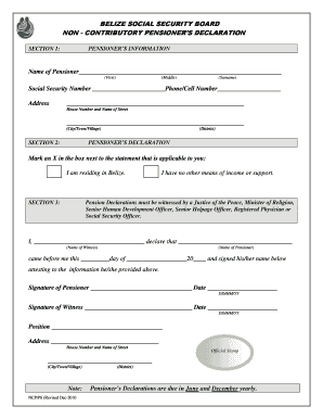Belize Non-Contributory Pensioner Declaration