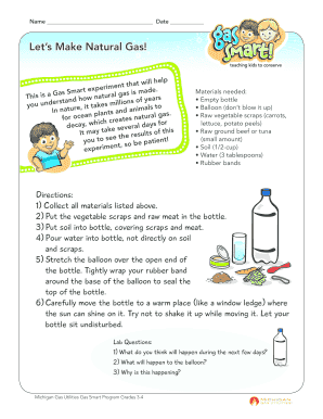 Natural Gas Experiment Form