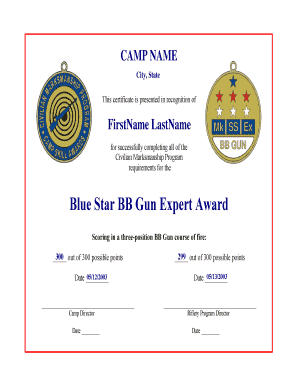Blue Star BB Gun Expert Award Certificate